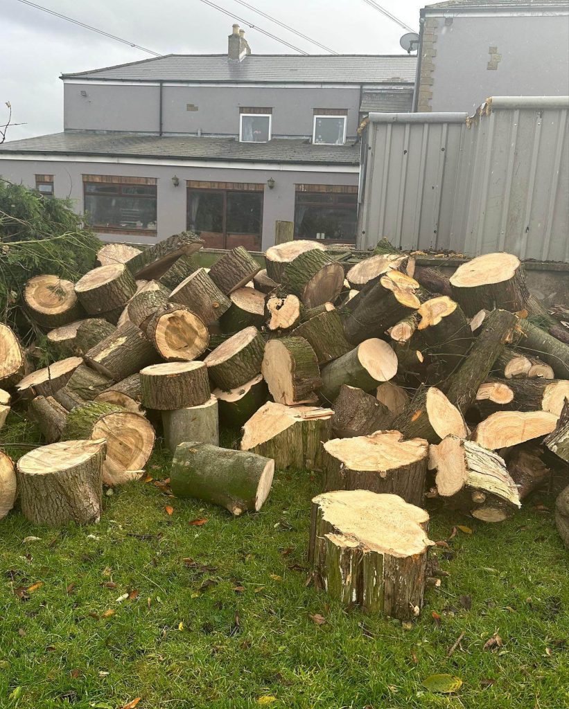 stump grinding