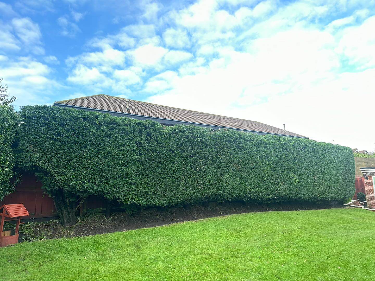 how much is a tree surgeon in sunderland